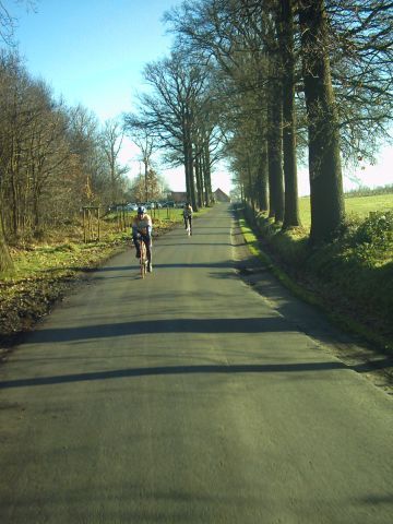 Statige dreef in Horst
Via de statige dreef voor het Kasteel van Horst vluchten we door de rest het landgoed naar de contreien van Gelrode.
