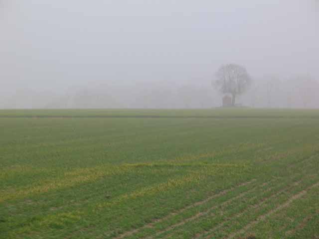 Veld kapel te Horst.
De rit zit er bijna op, hier paseren we nog de pittoreske kapel in de buurt van Horst, daarna gaat het over het Rot, de Kameel en de Muur van Betekom huiswaarts.
