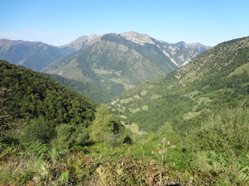 n2012_Pyreneeen12_Herman_20120909_111308_010.JPG