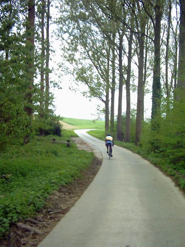 Eggie Het Bos Uit
Samen sloten we in een mum van tijd in de Roosbeekstraat in Vertrijk terug aan bij de groep. 
