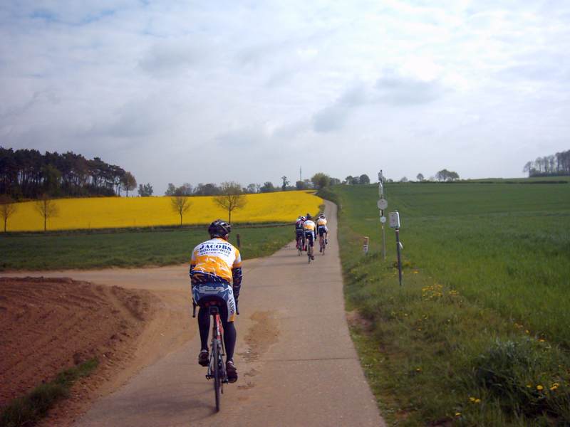 De Geel Mannen Met Koolzaad 1
Landschap assorti met onze huidige kledij.
