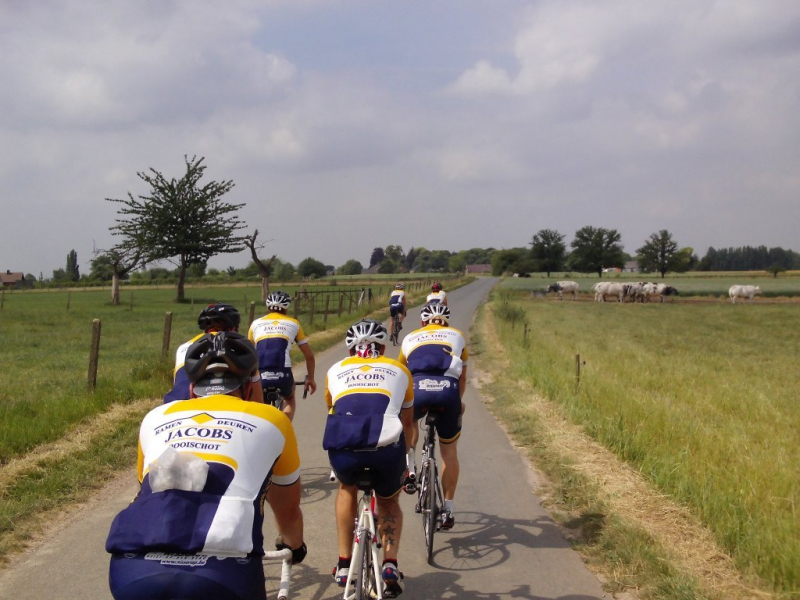 Dwars Door Haspengouw 2
We rijden verder over dan weer vlakke, dan weer glooiende wegen.
