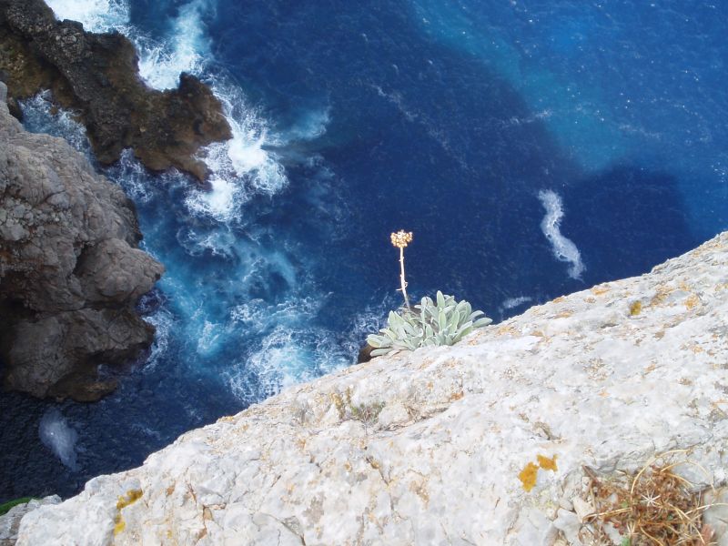 Klif op Cap Formentor
Niet voor mensen met hoogtevrees!
