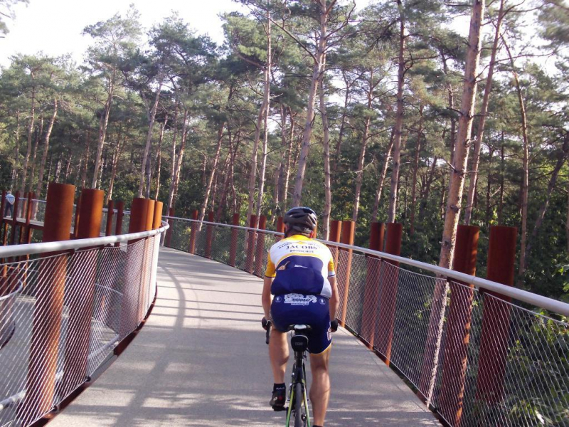 Fietsen Omhoog Tussen Bomen
We fietsten op de dubbele ring aangelegd in een bos in Hechtel-Eksel
