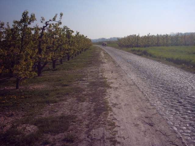 Verrassend kasseitje in Miskom
In volle vaart tussen de bloesems verandert de betonwegel ineens in neergesmeten kassei. Als je dan net een foto van de rijdende groep wilde nemen, moet je van het schrikken even voet aan grond zetten, en om een stabiele - groep in de boomgaard - foto te nemen uiteraard.
