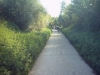 n2007_club07_20070916_1106_WegUitHoegaarden3.jpg