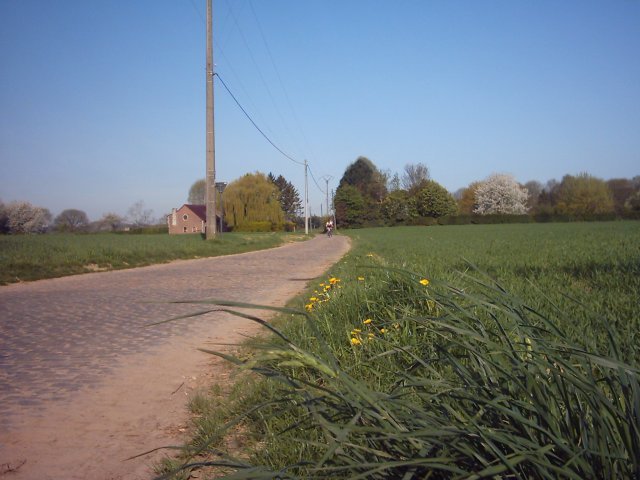 Tom en Ludo in aantocht
Tom en Ludo komen in het zicht en beseffen dat de laatste meters nog stevig getrapt moet worden. Let op het gras dat wiegt door de stevige noordoosten-bries.
