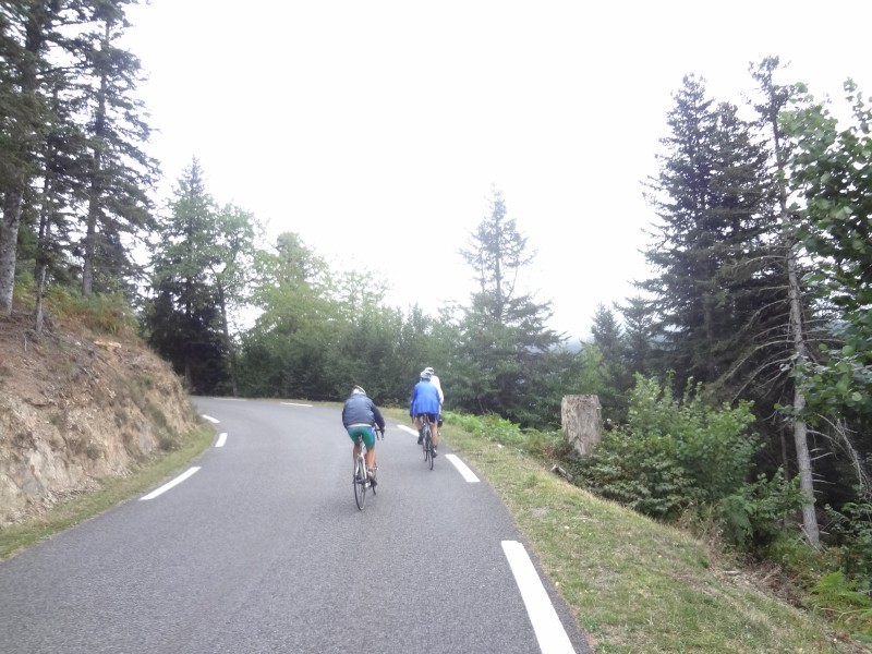 n2012_Pyreneeen12_Herman_20120912_153508_062.JPG