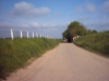 n2015_brabanstepijl15_20150510_0942_BovenAanGasthuisberg.JPG