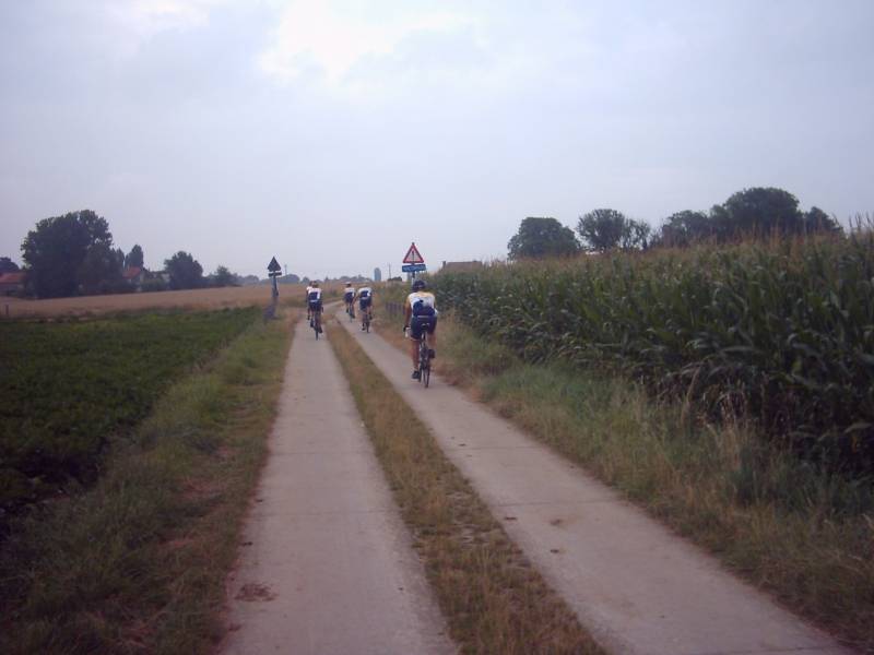 Houtemveld bij Tienen
Een typische Haspengouwse veldweg ten noorden van Tienen in het gehucht Houtemveld. 
