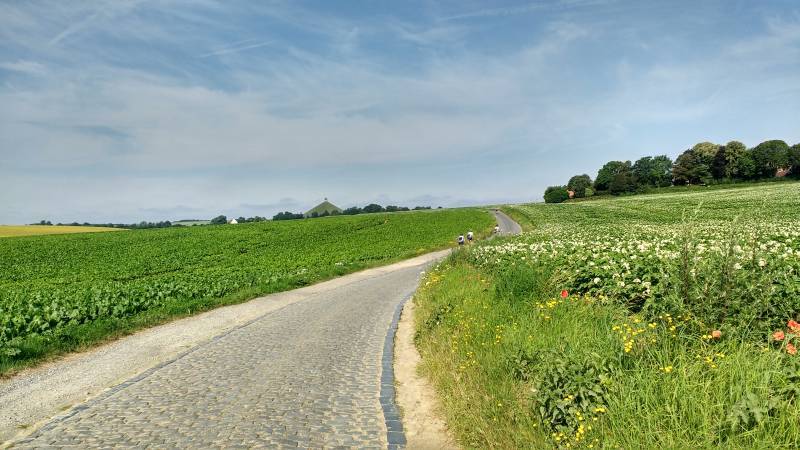 Lastige kassei naar de Leeuw
De kasseien liggen er al honderden jaren, en dat is eraan te zien en te voelen. Ze liggen met een bultrug in het midden en hier en daar met vervaarlijke spleten op de zijkanten.
