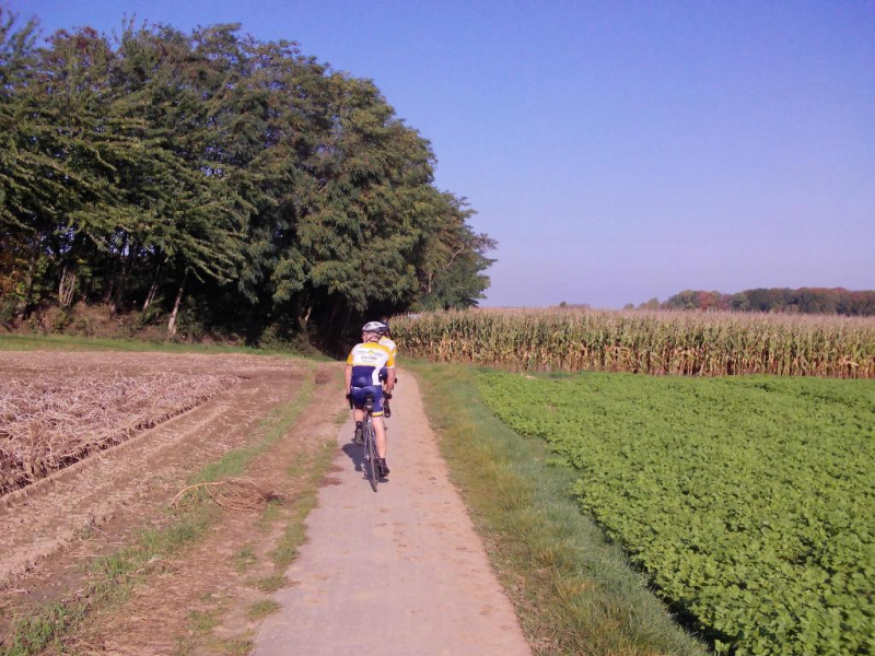 Veldweg Neerijse 3
De smalle verharde veldweg kronkelt op en neer door veld en bos.

