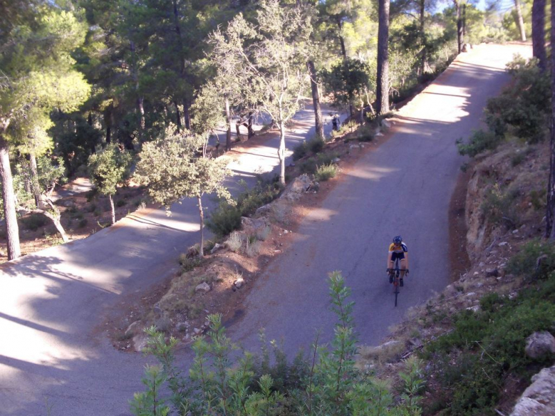 Afdaling Naar Valldemossa (3)
