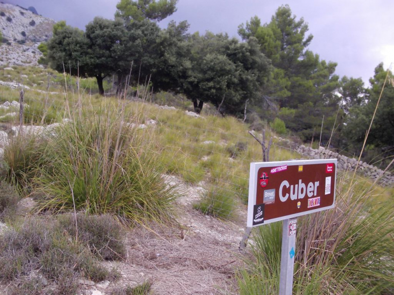 Plaatje Puig Major
