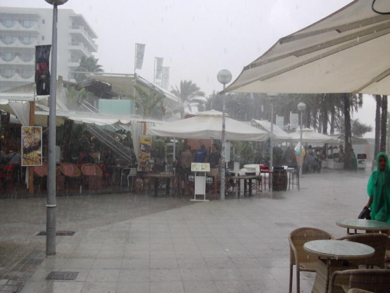 Regendag (9)
